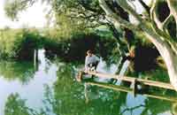 pretty pictures....