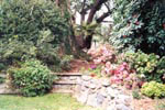 pretty picture